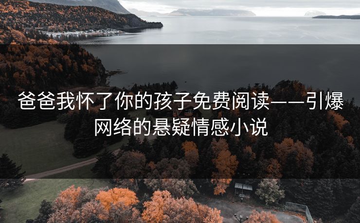 爸爸我怀了你的孩子免费阅读——引爆网络的悬疑情感小说