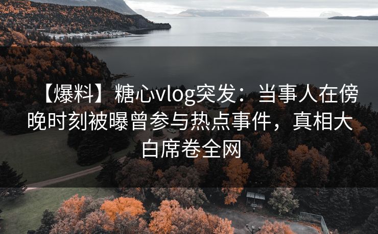 【爆料】糖心vlog突发：当事人在傍晚时刻被曝曾参与热点事件，真相大白席卷全网