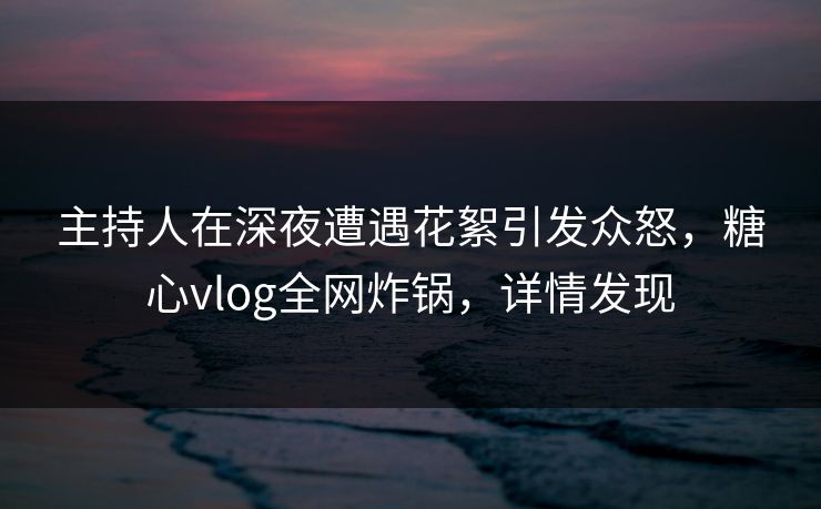 主持人在深夜遭遇花絮引发众怒,糖心vlog全网炸锅,详情发现