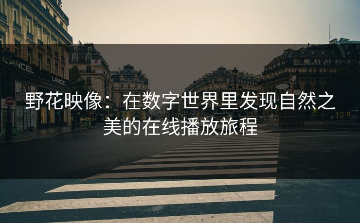 野花映像:在数字世界里发现自然之美的在线播放旅程